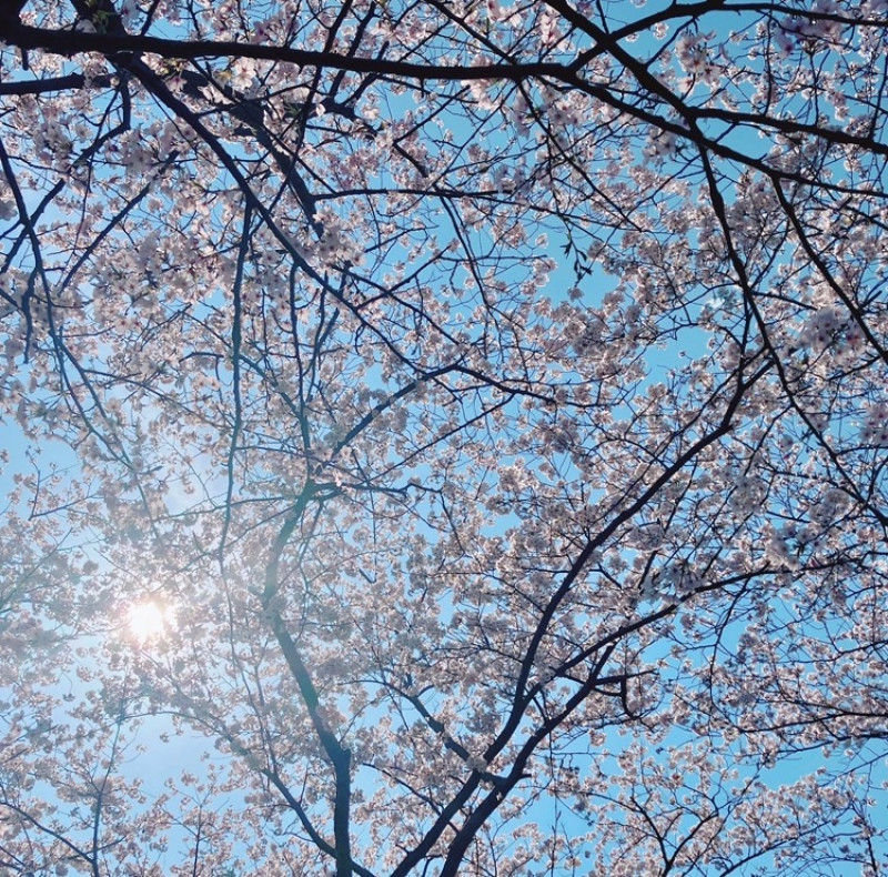 ゆうの写メ